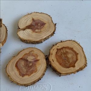 5 Red cedar wood coaster size